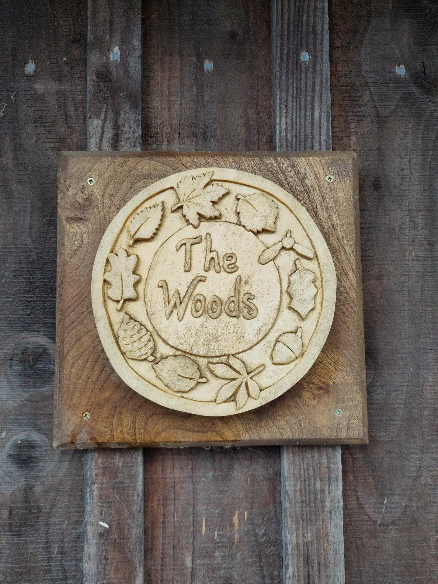 A Scottish lime hand carved house sign with carved leaves, pine cones, seeds and acorns all around the house name