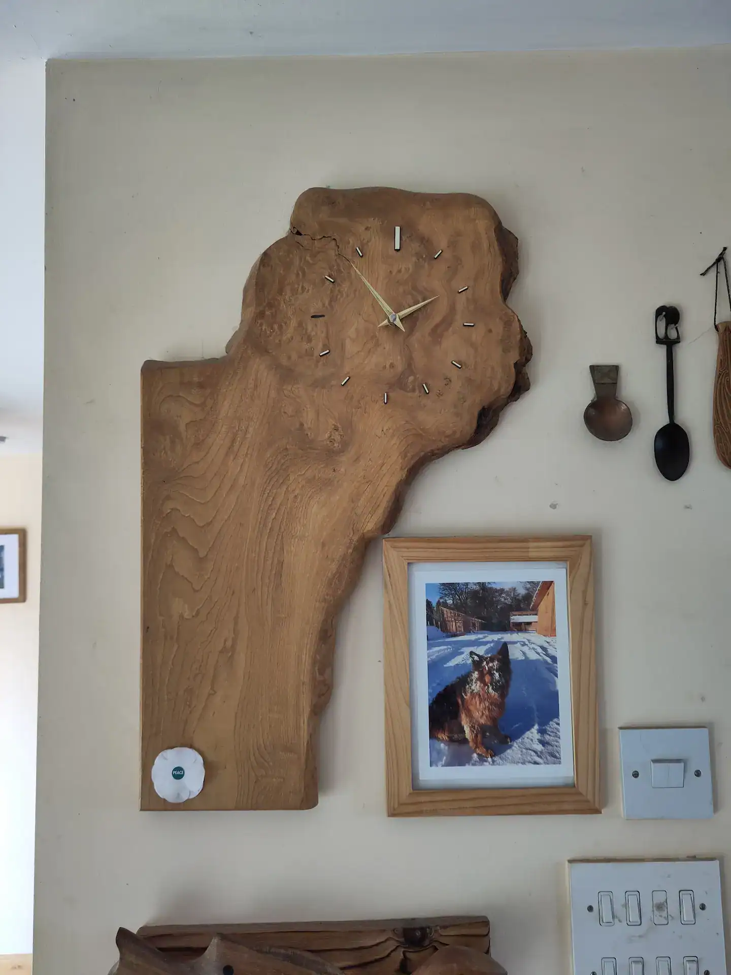 A live edge clock shaped from a piece of Scottish burr elm, a perfect example of a simple DIY craft project using hardwood timber