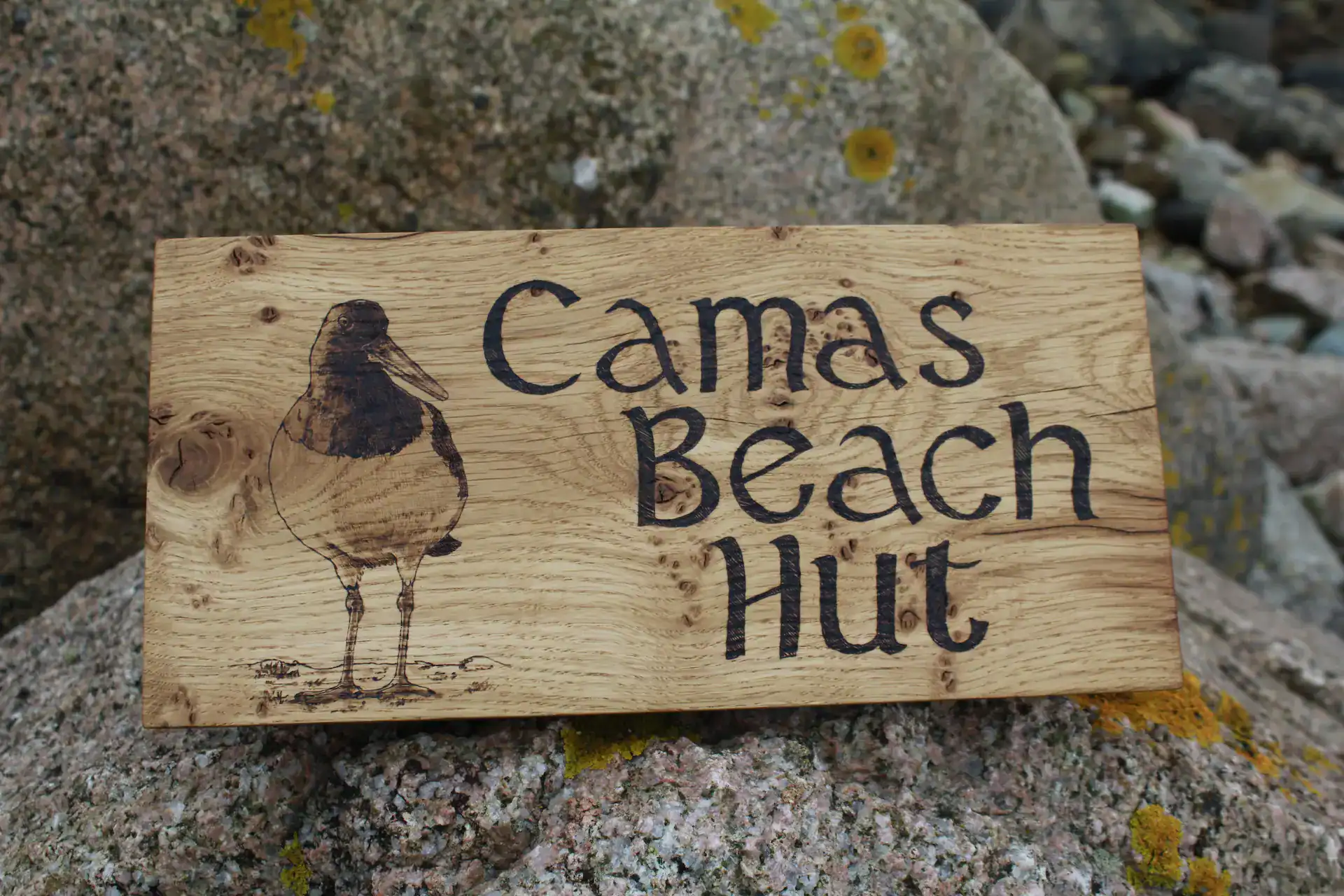 A pyrography of an oystercatcher on a small Scottish oak sign for the Camas Beach hut