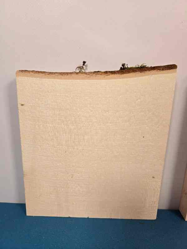 3 pack Sycamore Offcuts
