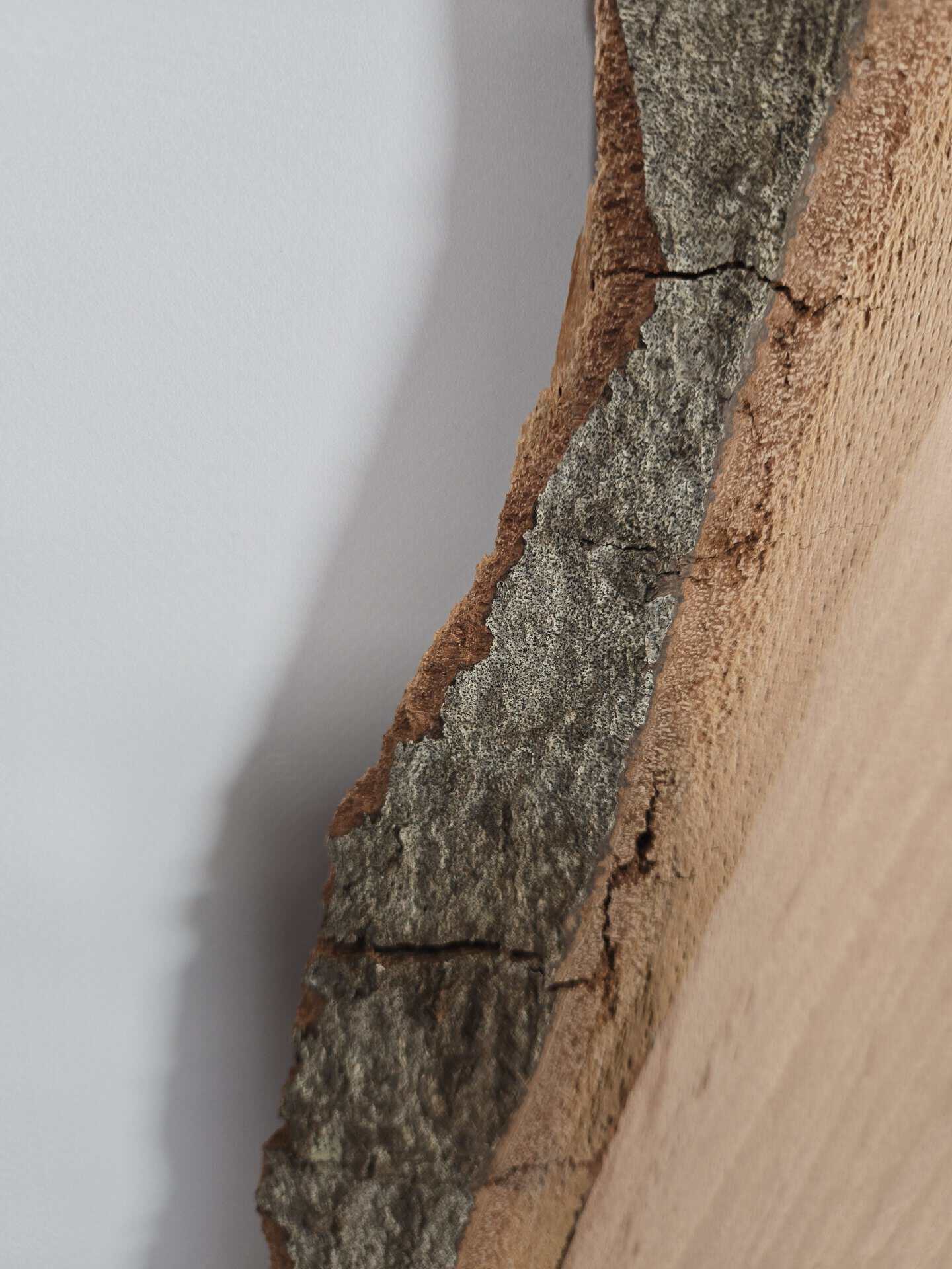 Naturally shaped beech board - Image 6