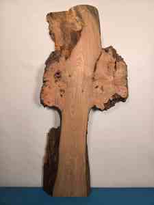 Organically shaped Elm