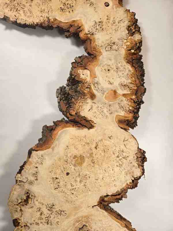 Stunning Burr Scottish Oak