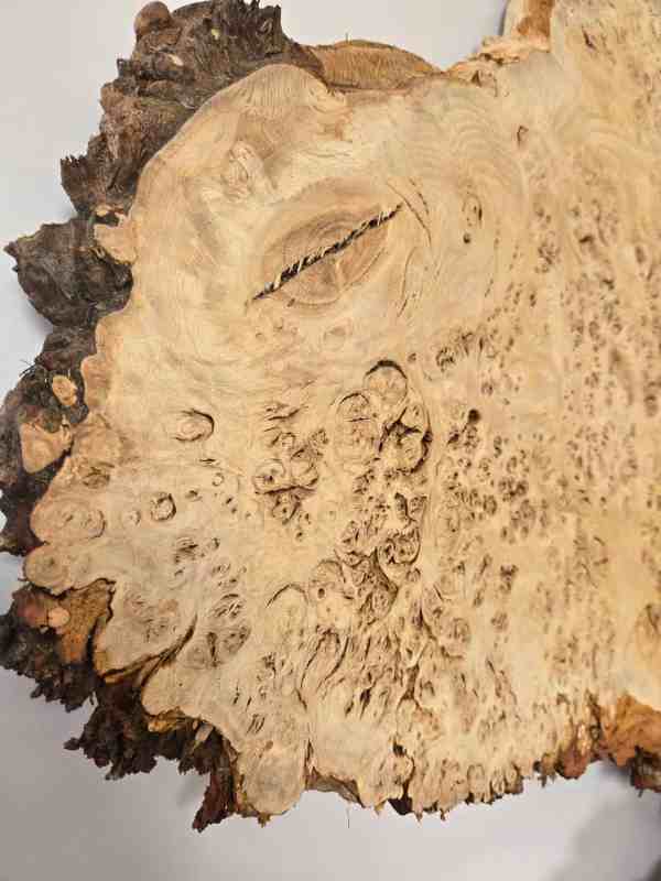 Stunning Burr Scottish Oak