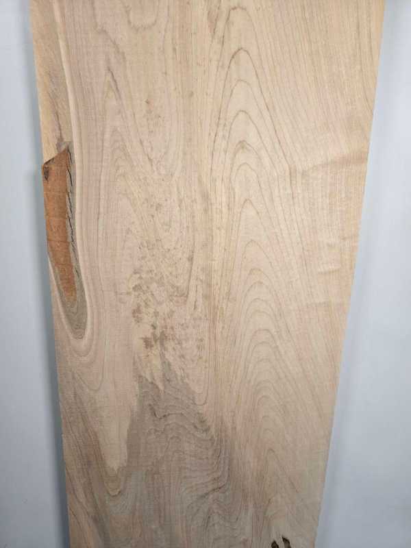 Straight edge Sycamore Offcut