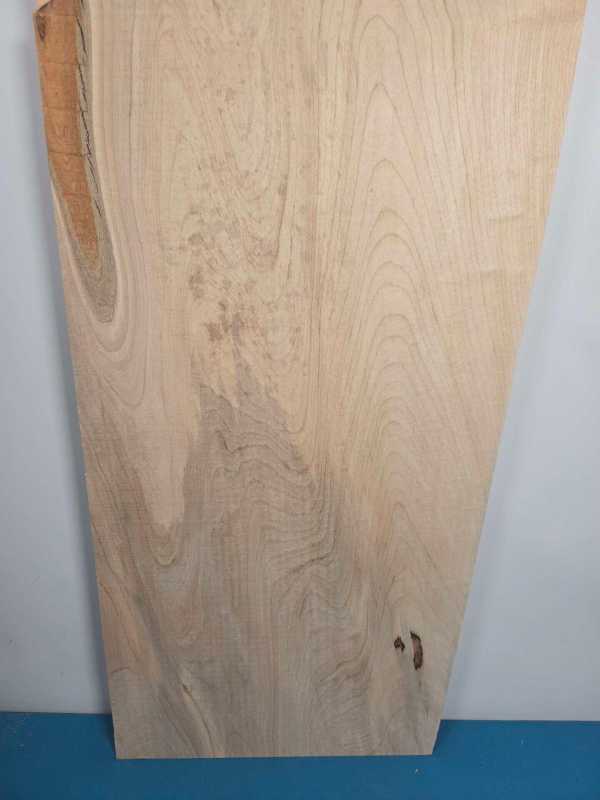 Straight edge Sycamore Offcut
