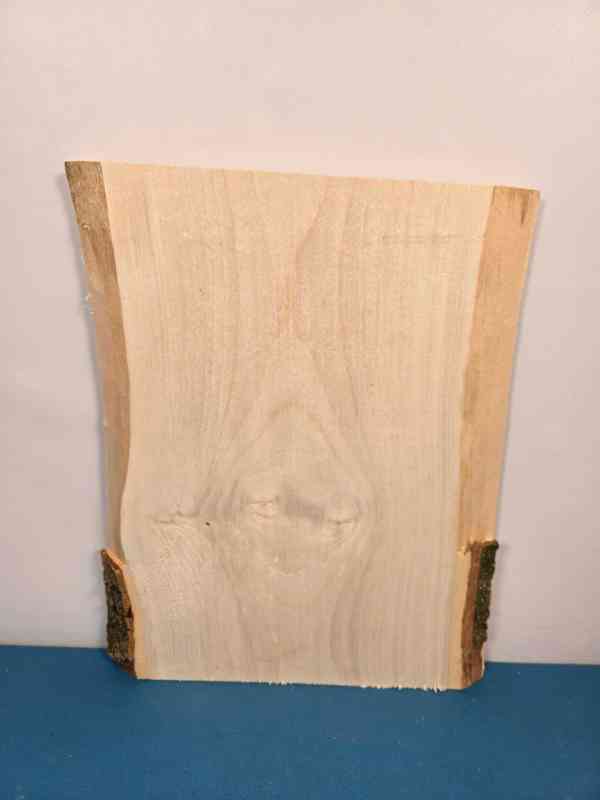 Live edge Sycamore offcut