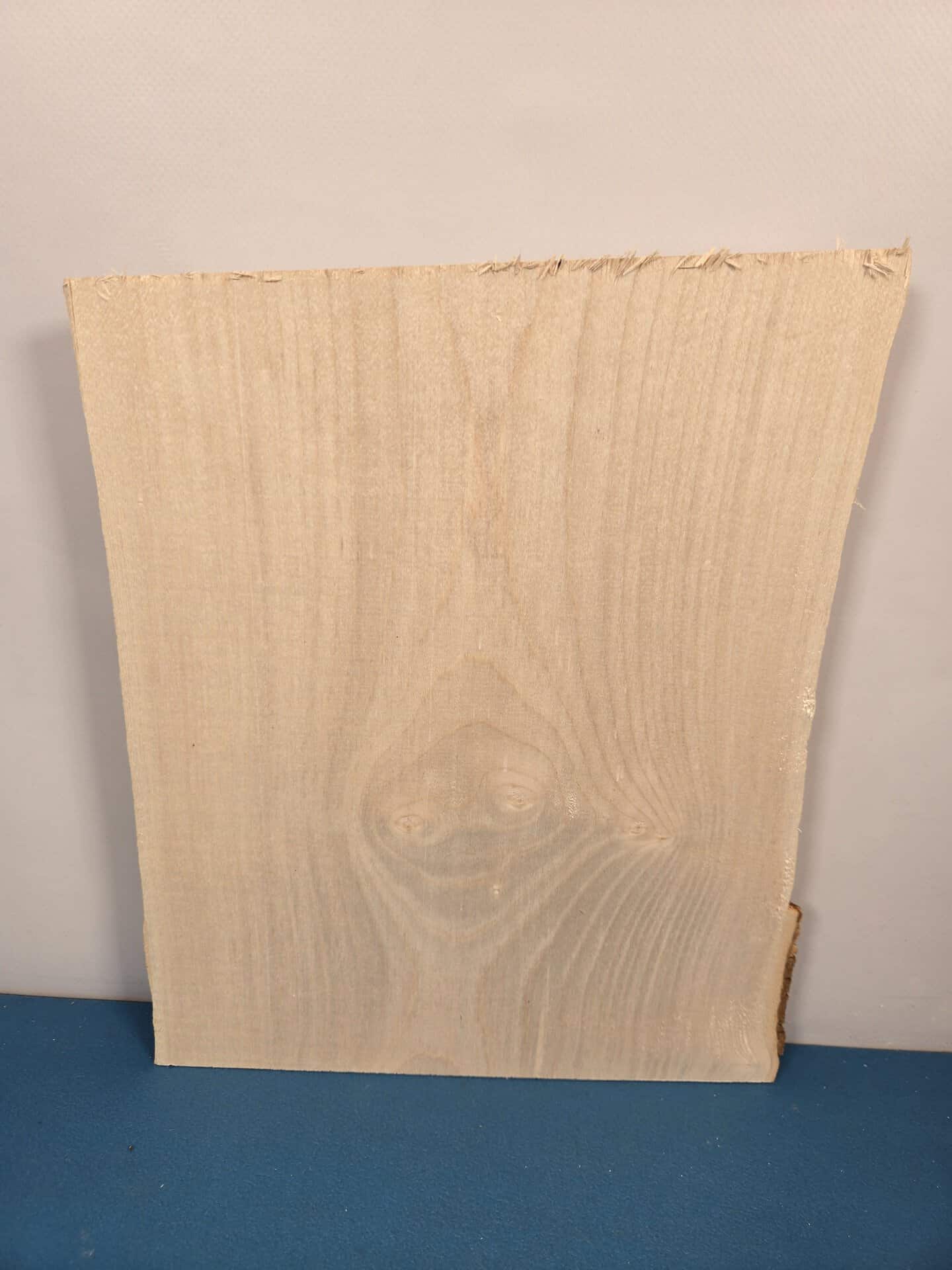 Live edge Sycamore offcut - Image 4
