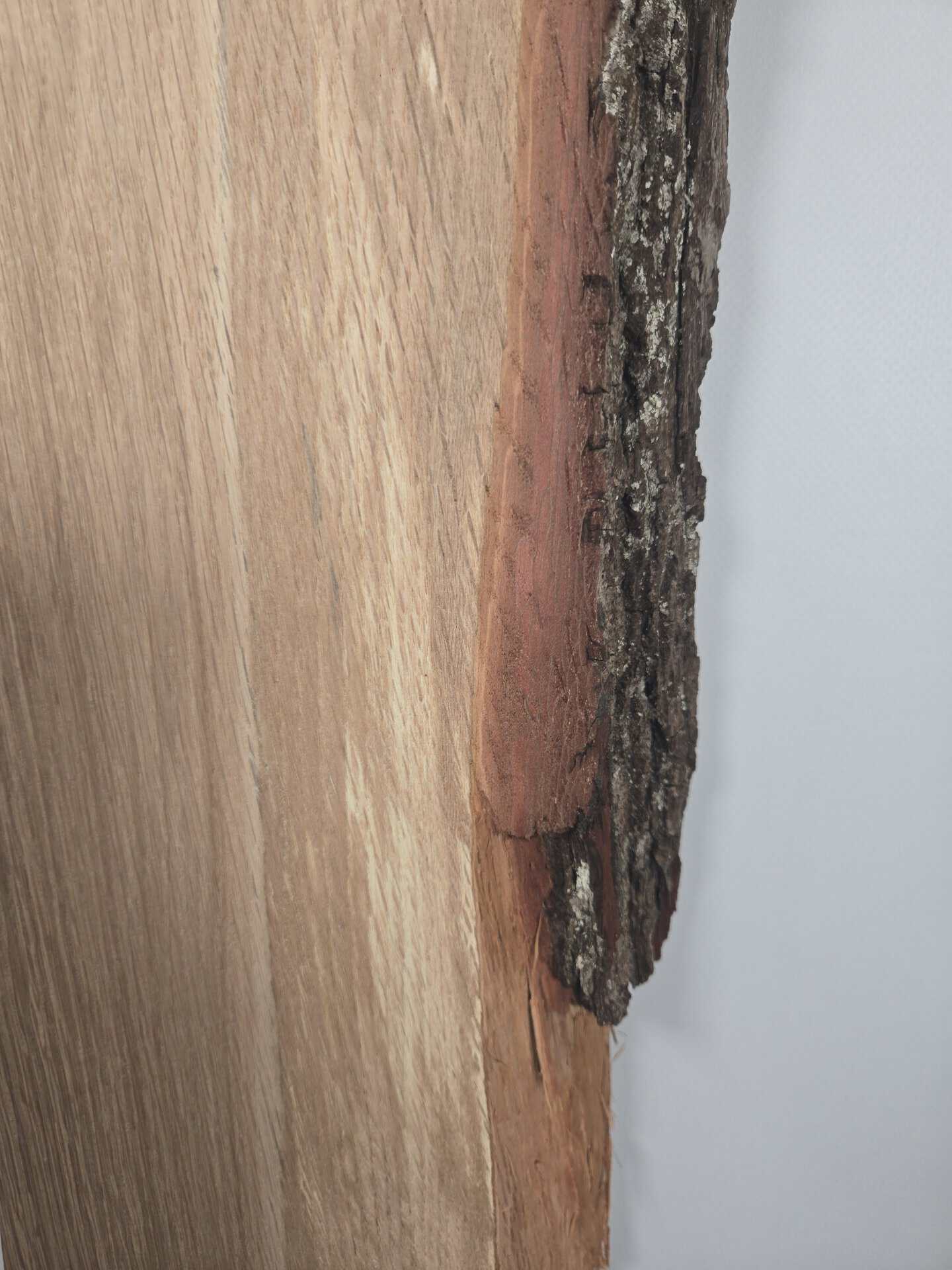 Oak with Live edge - Image 5