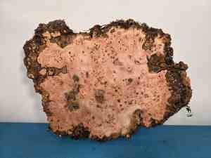 Edge-all-Round Elm Burr