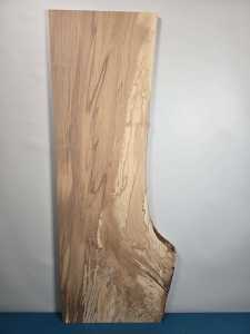 Naturally shaped Beech offcut