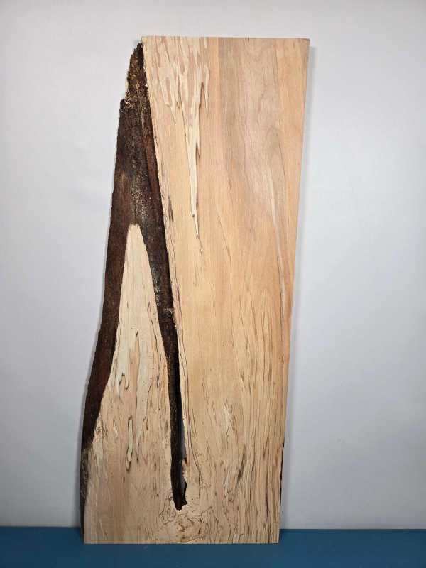 Spalted Beech Offcut with natural edge