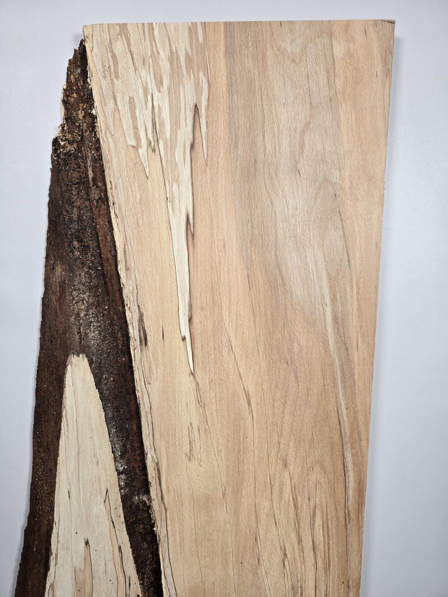 Spalted Beech Offcut with natural edge - Image 2