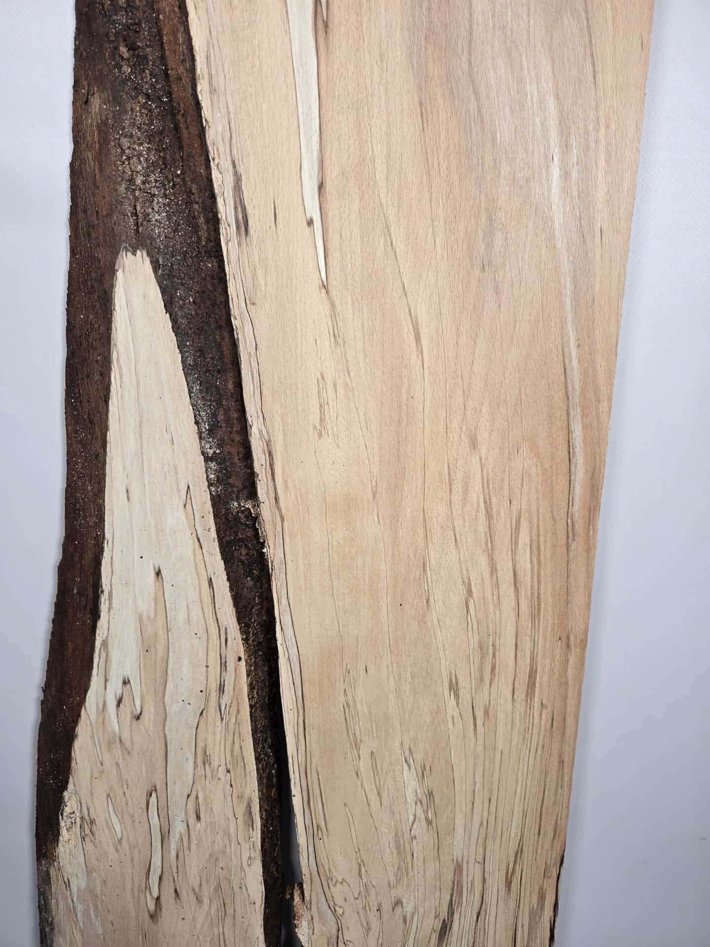 Spalted Beech Offcut with natural edge - Image 3