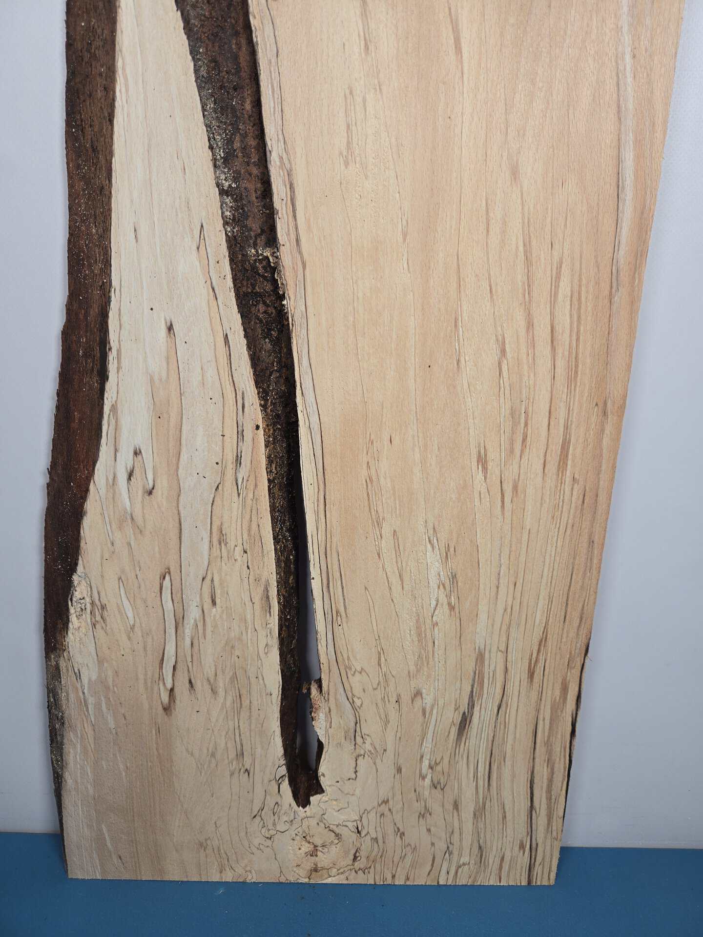Spalted Beech Offcut with natural edge - Image 4
