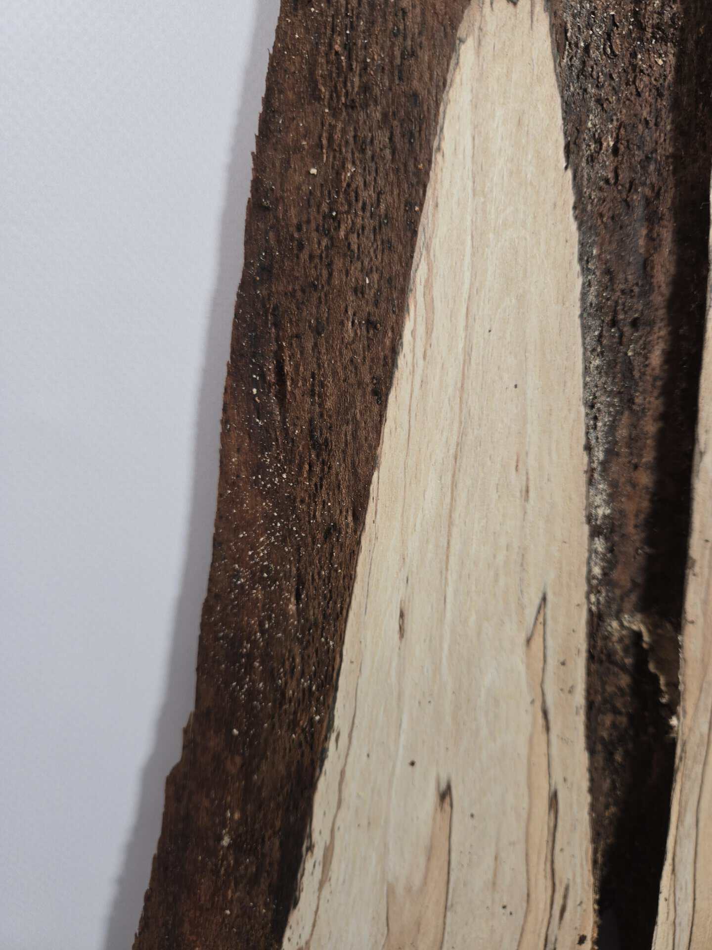Spalted Beech Offcut with natural edge - Image 6