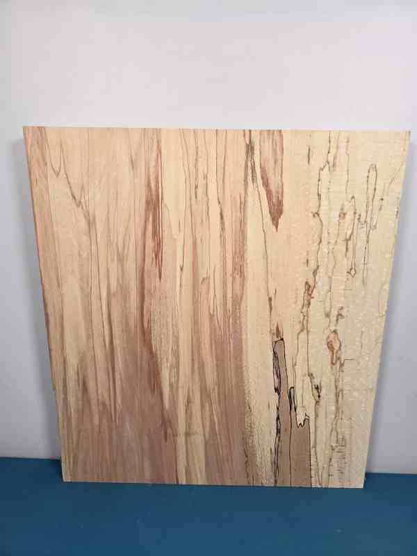 Square Beech