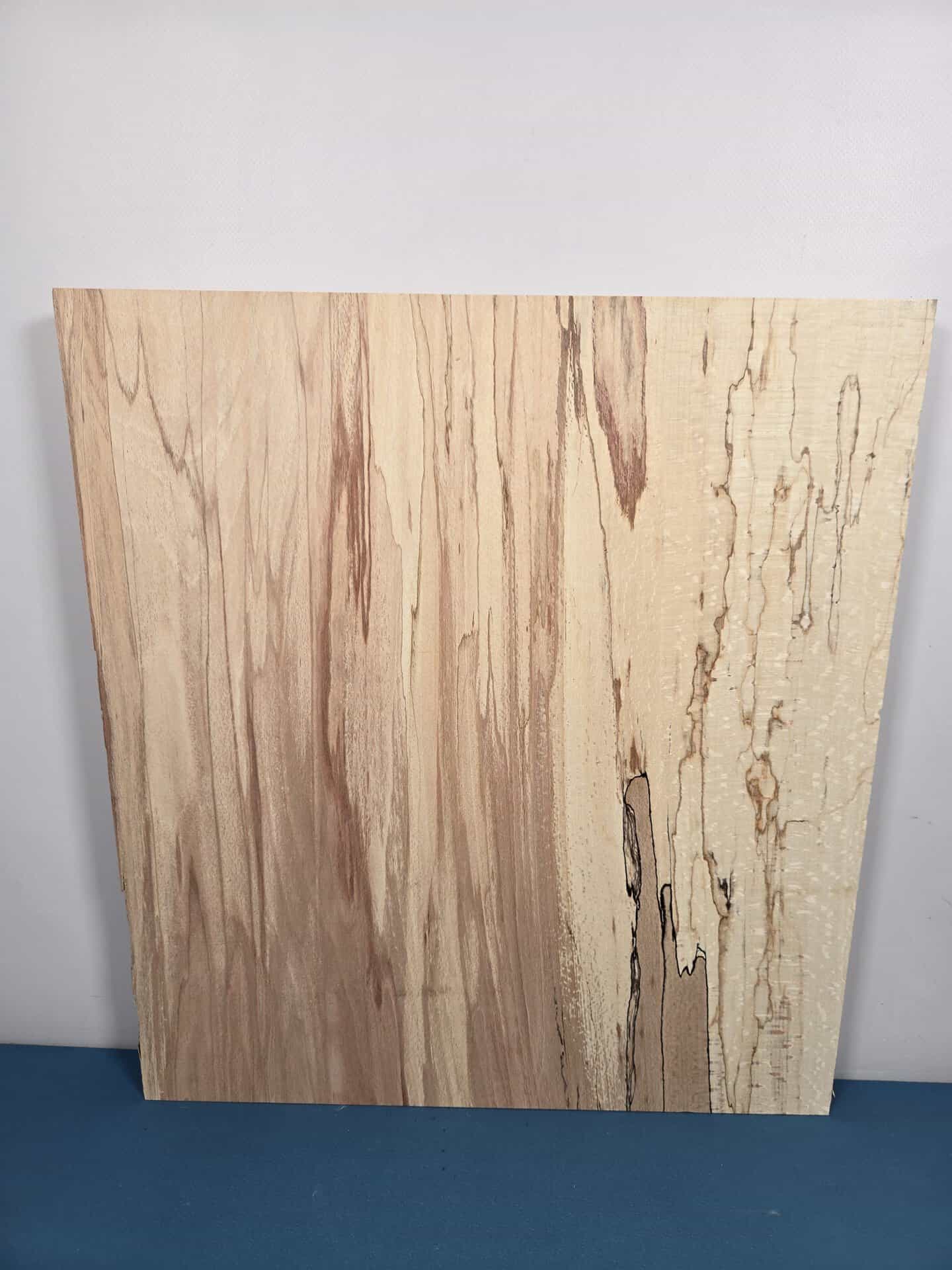 Square Beech