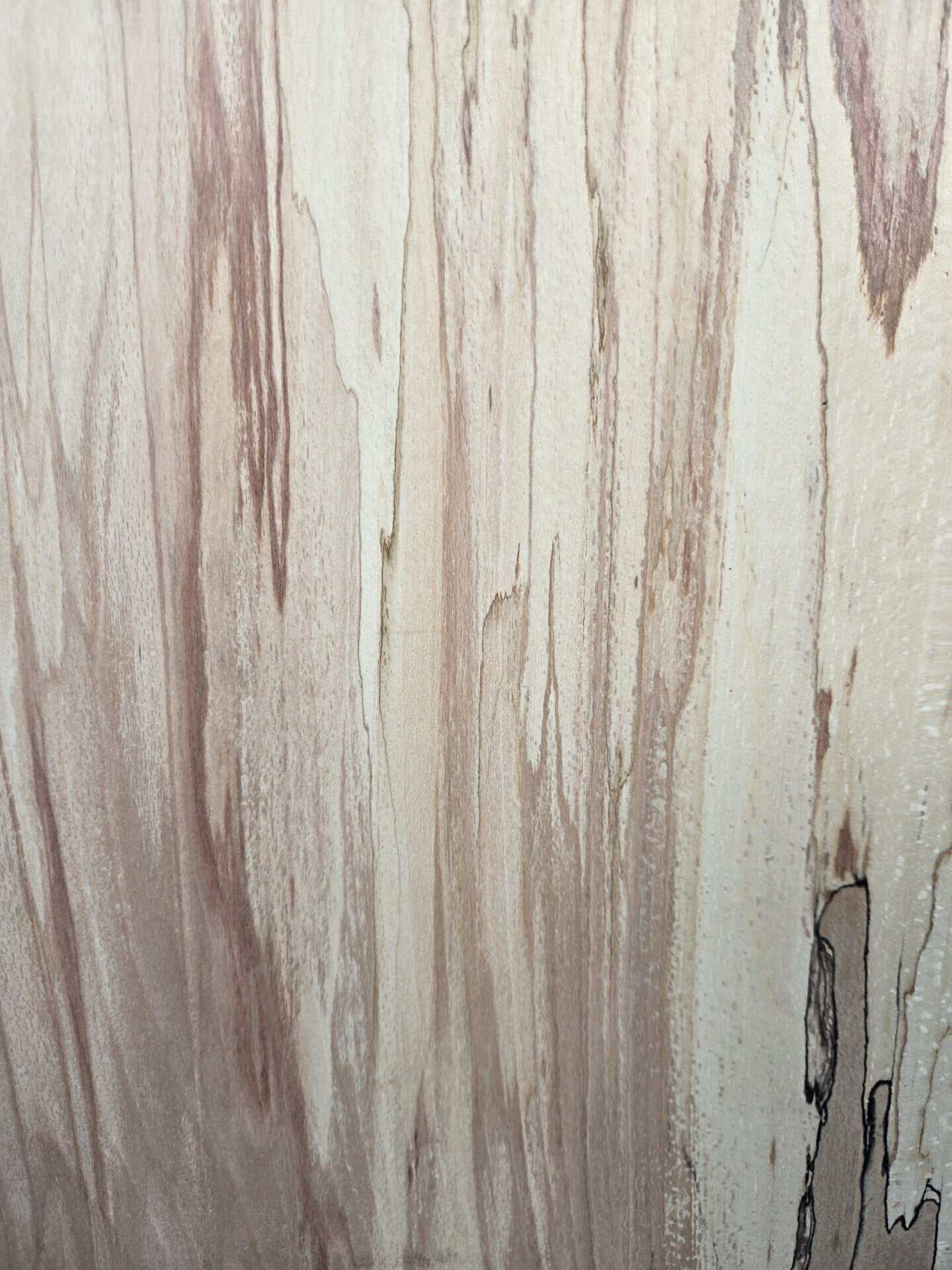 Square Beech - Image 4