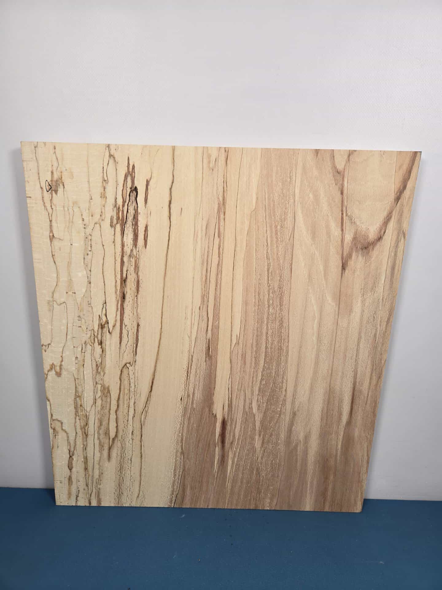 Square Beech - Image 6