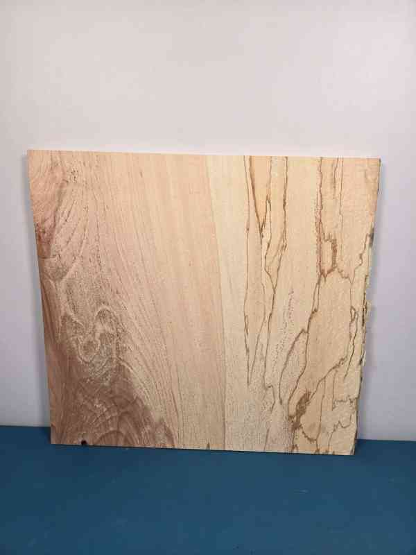 Live edge Spalted Beech Offcut