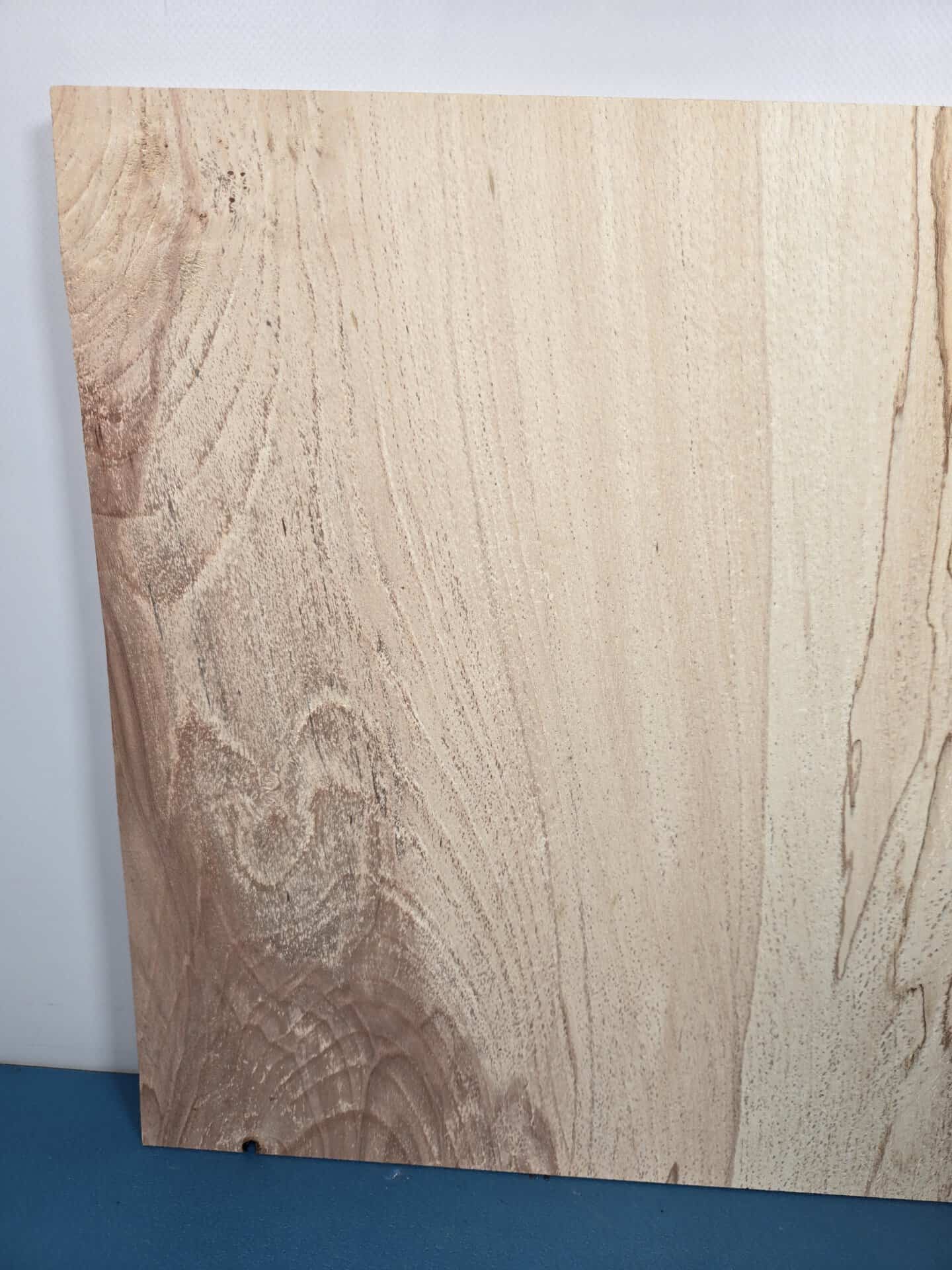 Live edge Spalted Beech Offcut - Image 2