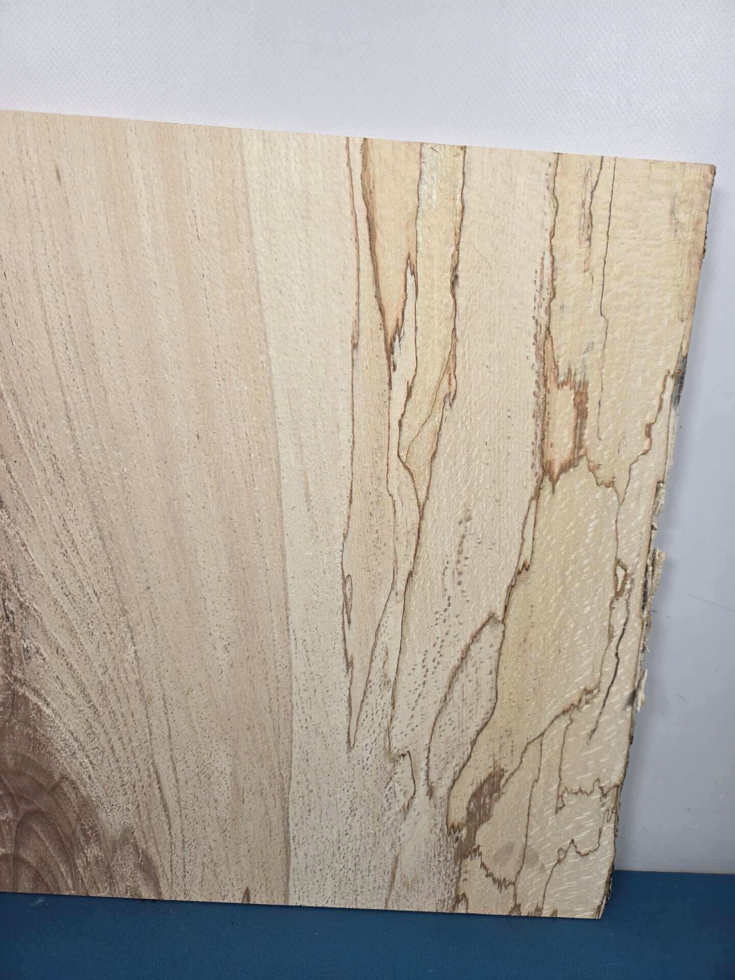 Live edge Spalted Beech Offcut - Image 3
