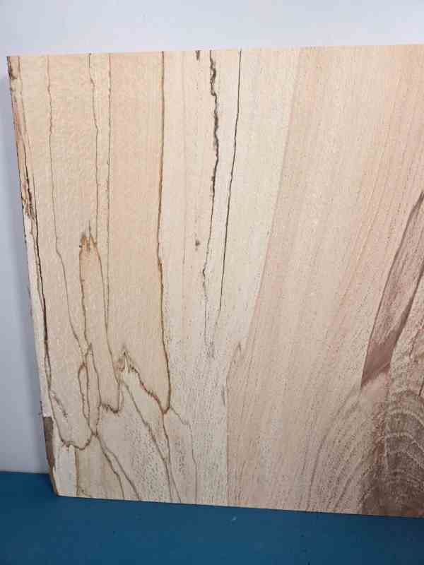 Live edge Spalted Beech Offcut