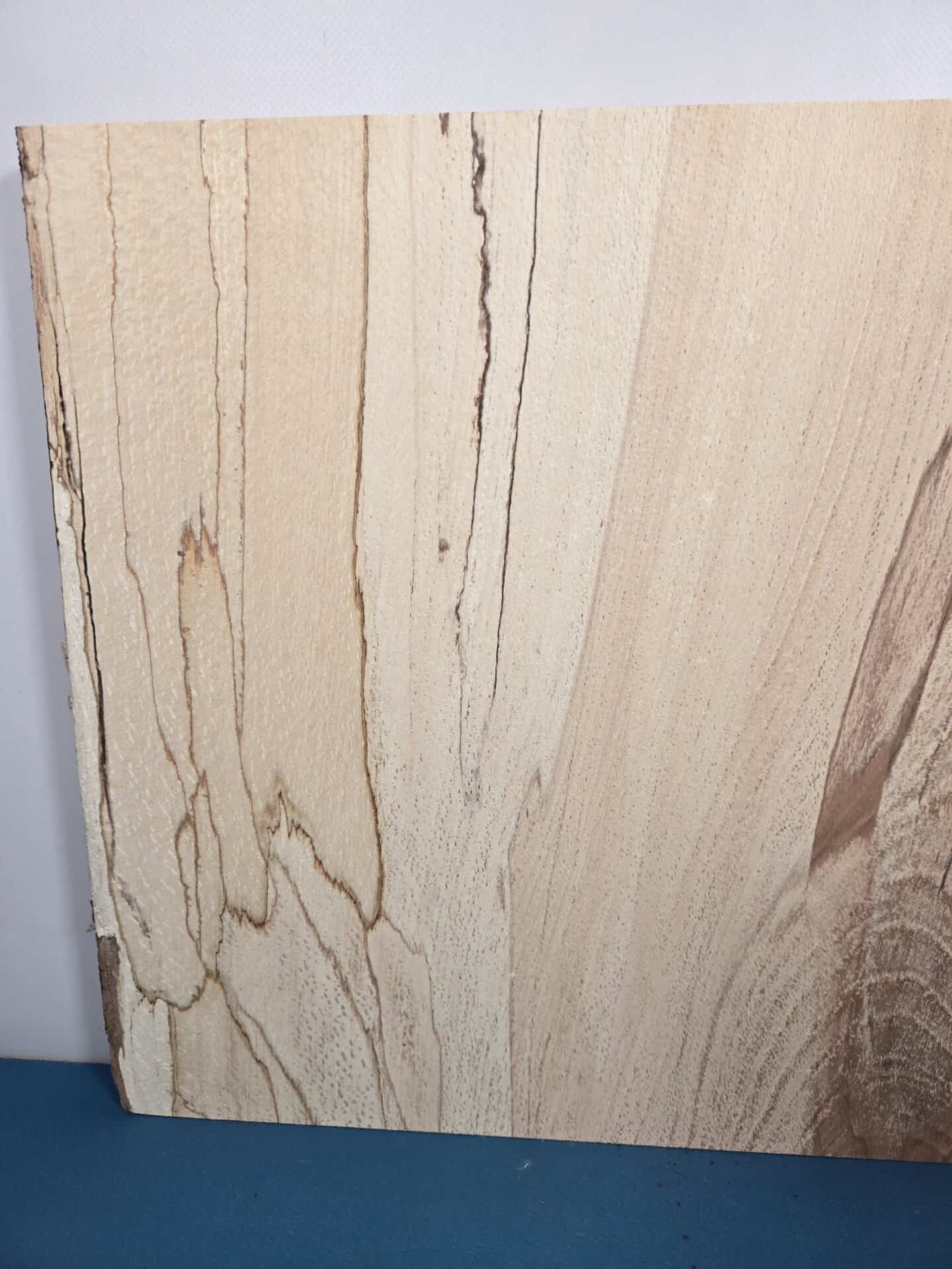 Live edge Spalted Beech Offcut - Image 6