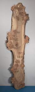 Edge-All-Round Burr Elm