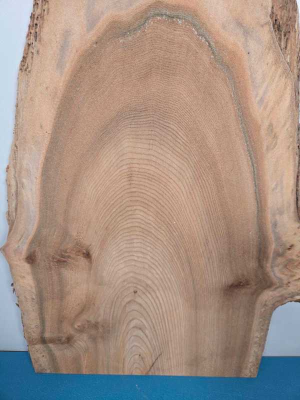 Natural edge Elm timber board showing detailed grain and waney edge.