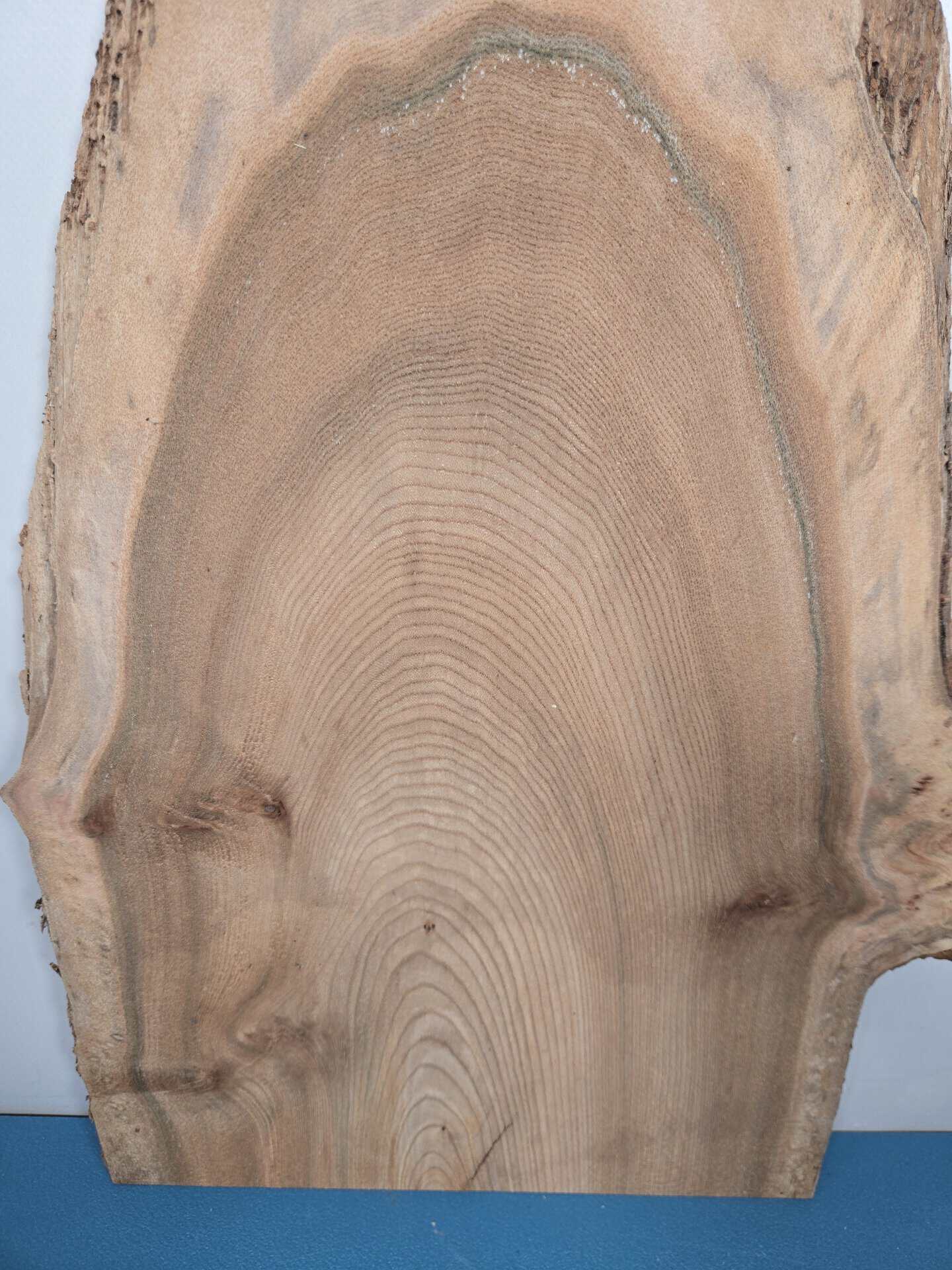 Natural edge Elm timber board showing detailed grain and waney edge.