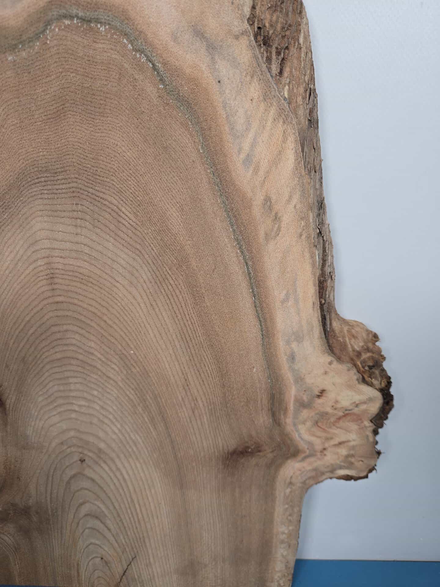 Natural edge Elm timber board showing detailed grain and bark edge.