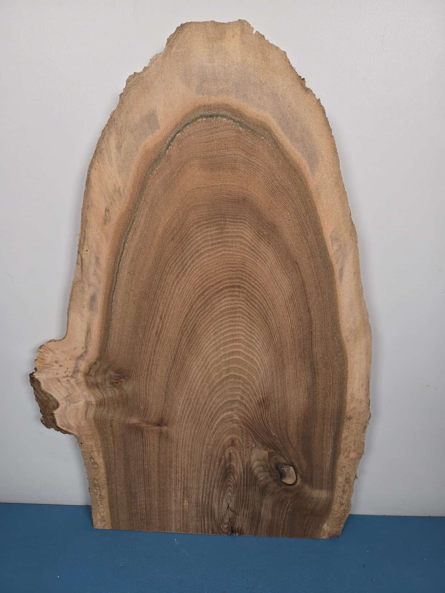 Natural edge Elm wood slab with prominent grain and irregular shape.