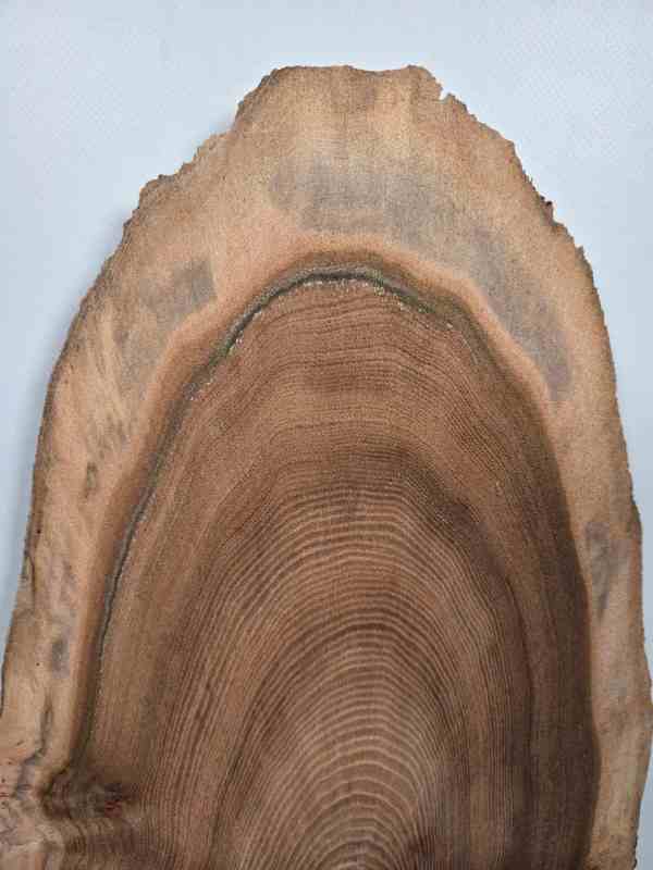 Natural edge Elm timber board showing detailed grain and irregular edge.