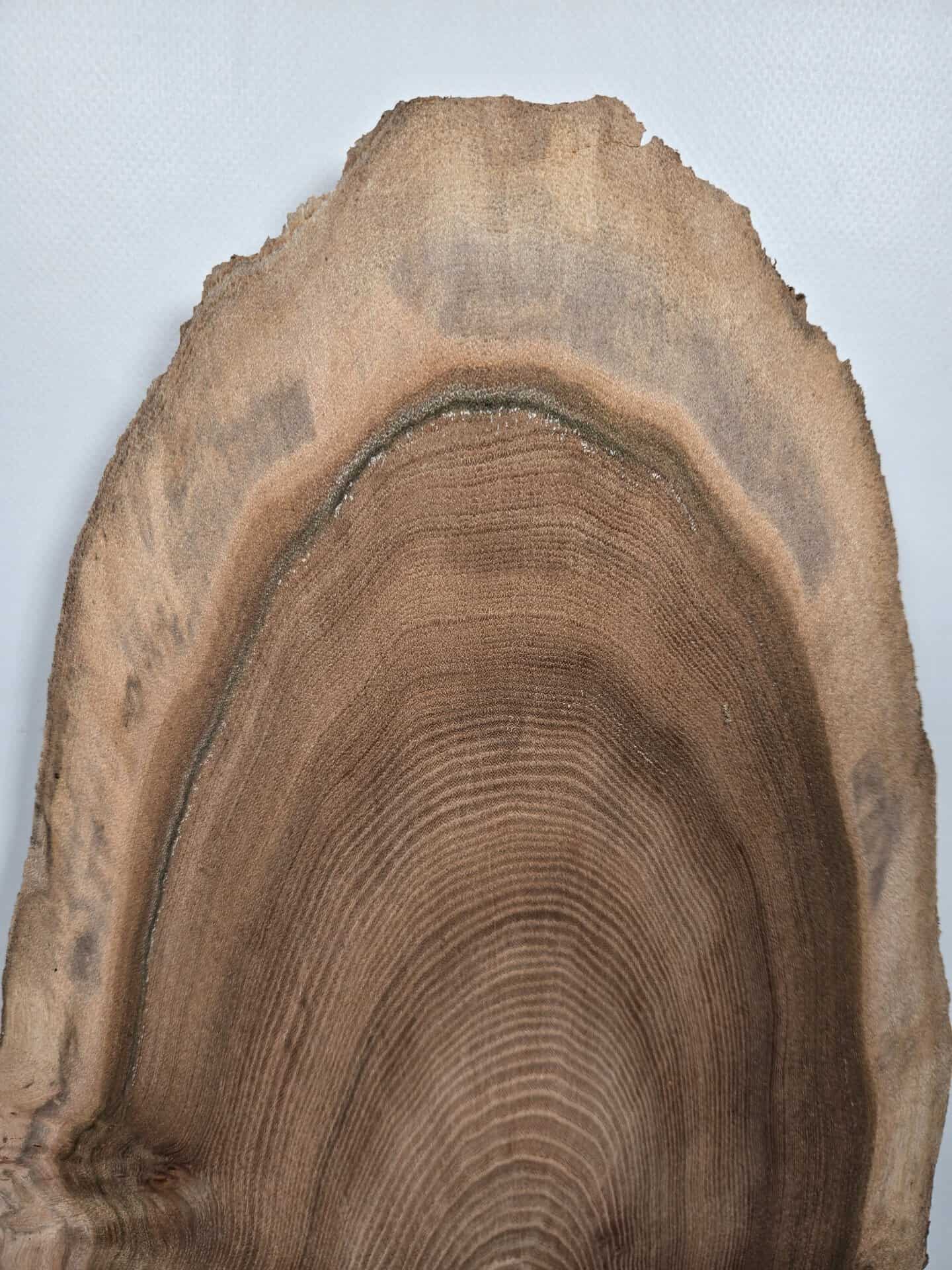 Natural edge Elm timber board showing detailed grain and irregular edge.