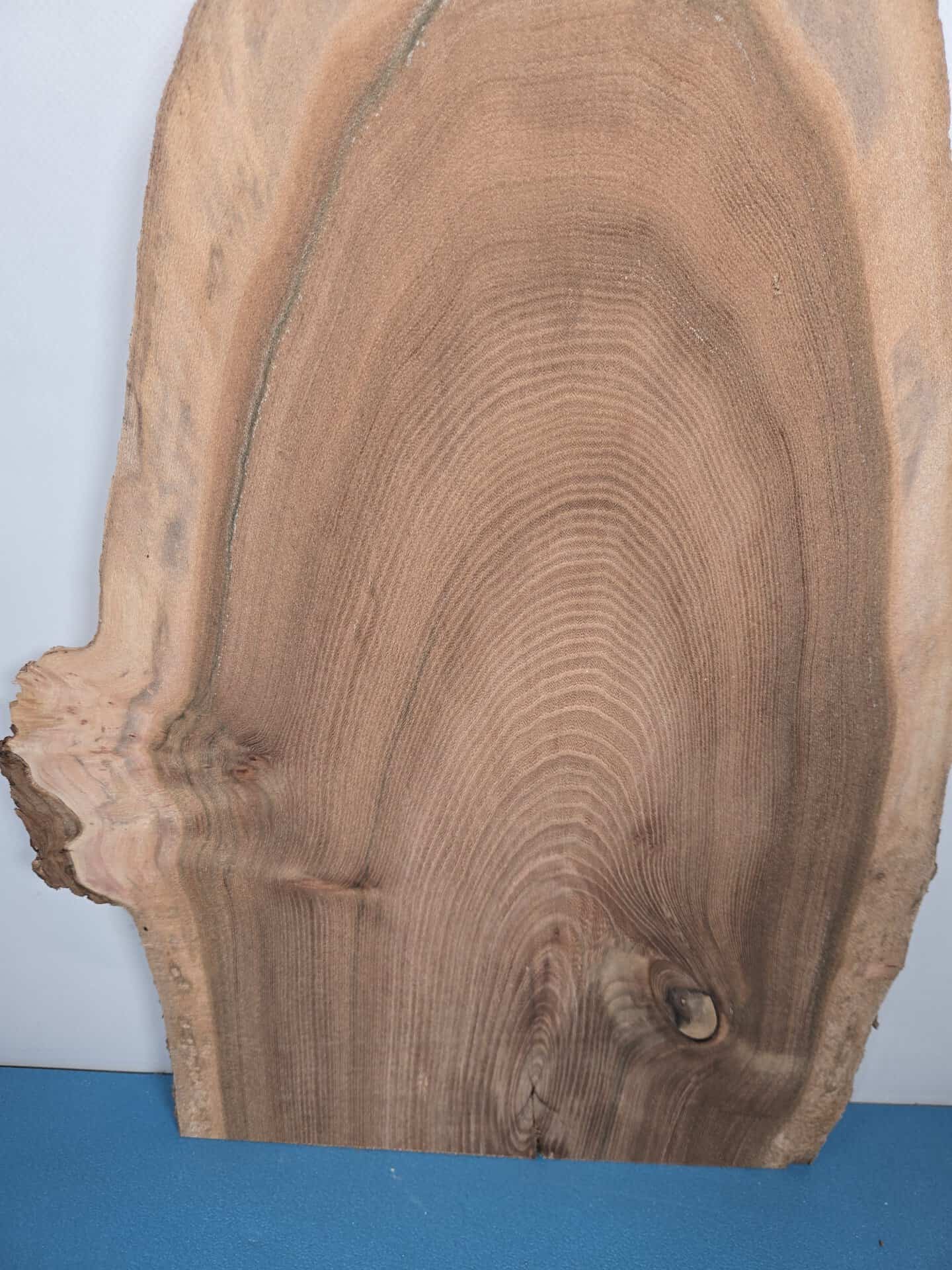 Natural edge Elm timber board showing wood grain and irregular edge detail.