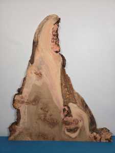 Burry Elm Offcut