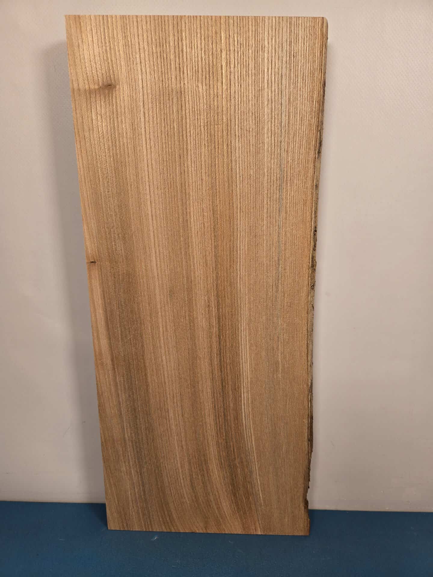 Natural edge Elm Offcut