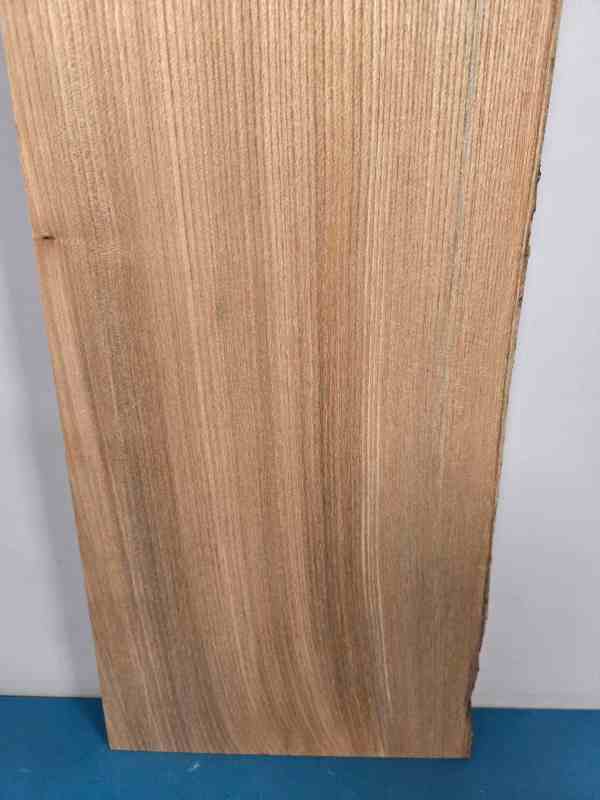 Natural edge Elm Offcut