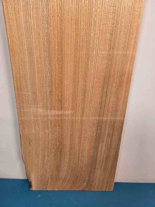 Natural edge Elm Offcut