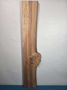 Burr Edge Elm Offcut
