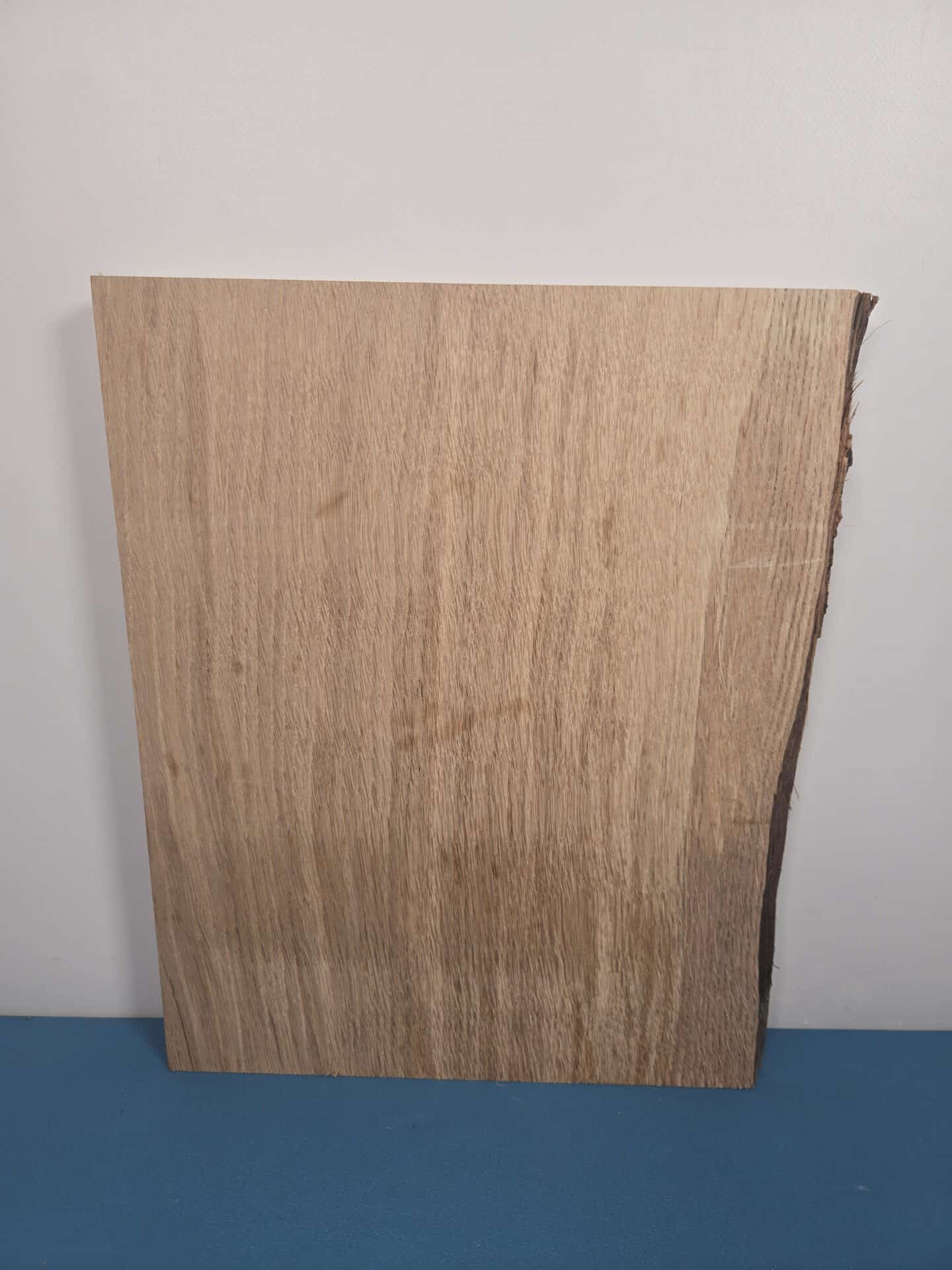 Natural edge Oak Blank