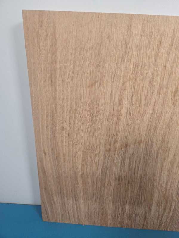 Natural edge Oak Blank