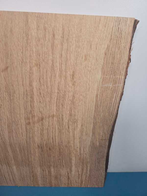 Natural edge Oak Blank