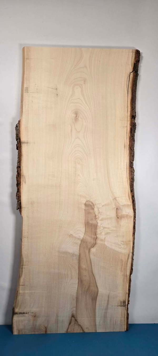Live edge Sycamore