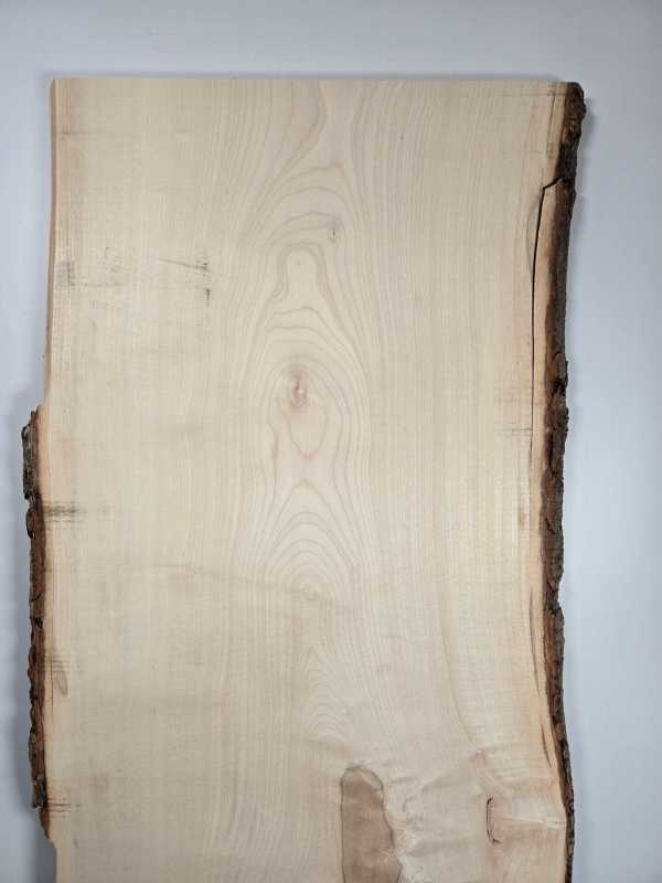 Live edge Sycamore