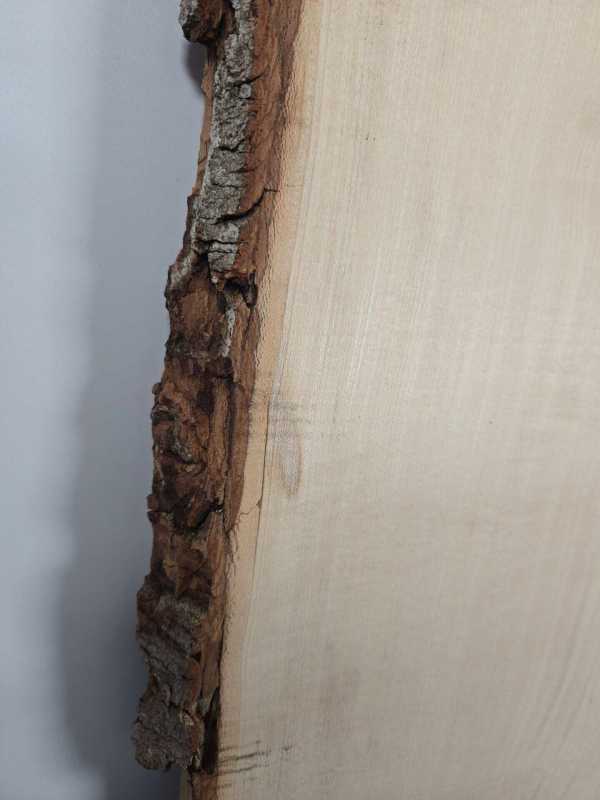 Live edge Sycamore