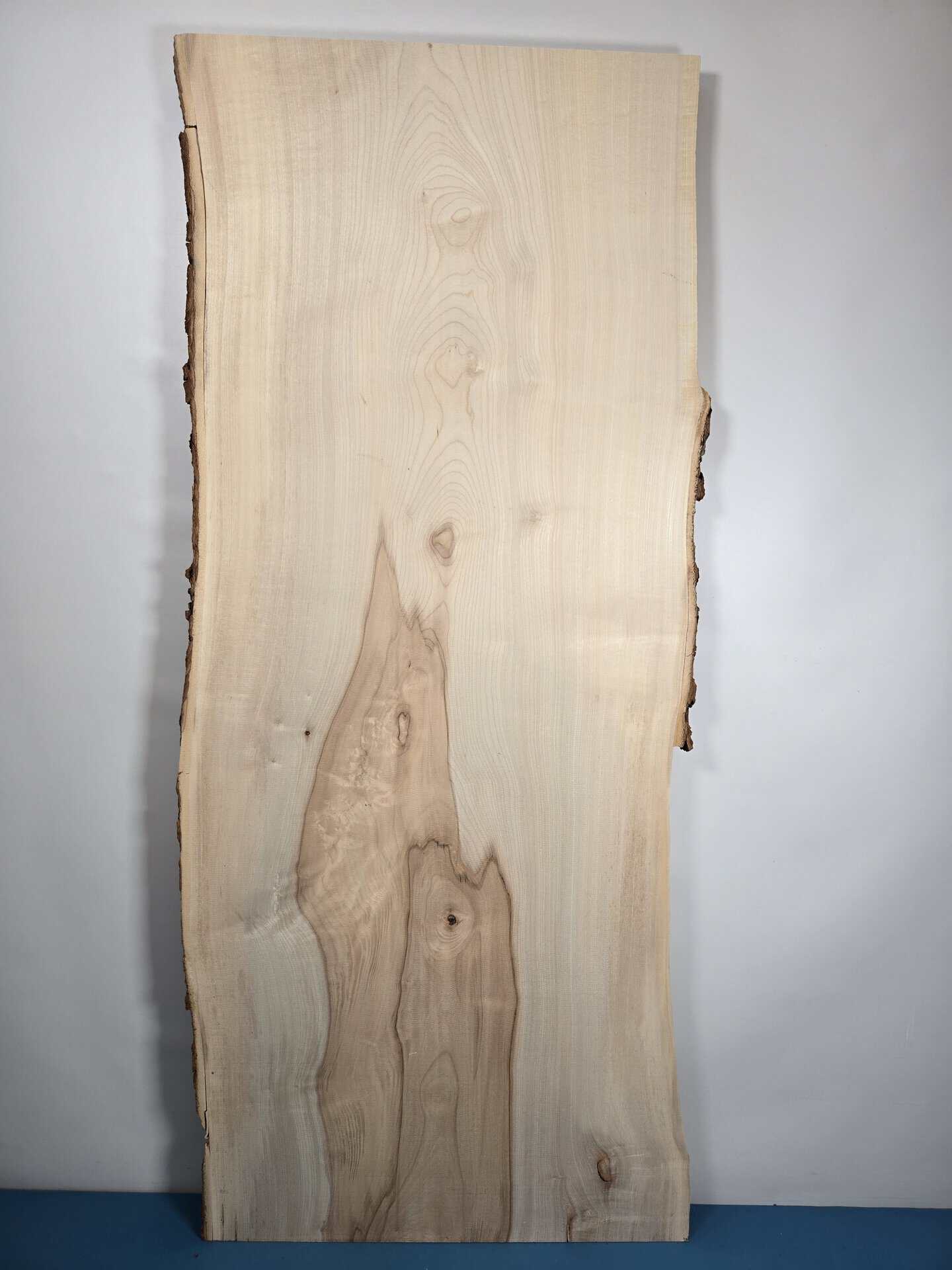 Live edge Sycamore - Image 6