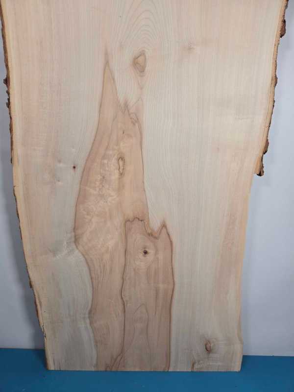Live edge Sycamore